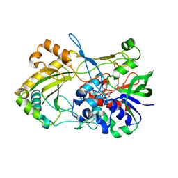 BU of 4udq by Molmil