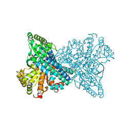 BU of 4udx by Molmil