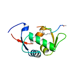 BU of 4ue1 by Molmil