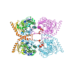 AU of 4ug4 by Molmil