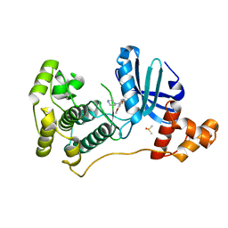 BU of 4umt by Molmil