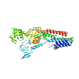 BU of 4umw by Molmil