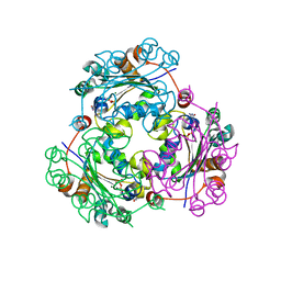 BU of 4uog by Molmil