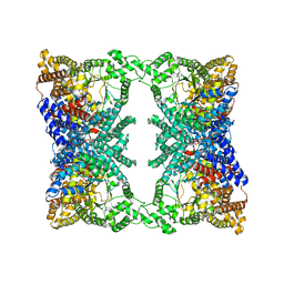 AU of 4uol by Molmil