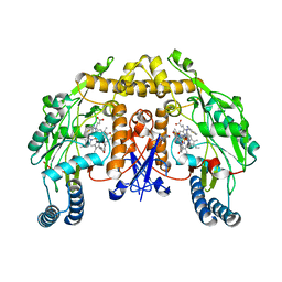 BU of 4upn by Molmil