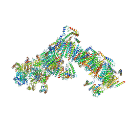 BU of 4uq8 by Molmil