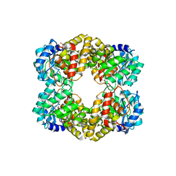 AU of 4ur5 by Molmil