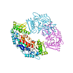 BU of 4usq by Molmil