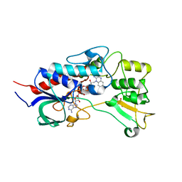 BU of 4usr by Molmil