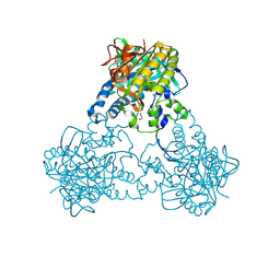 BU of 4ust by Molmil