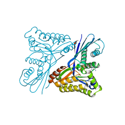 BU of 4utg by Molmil