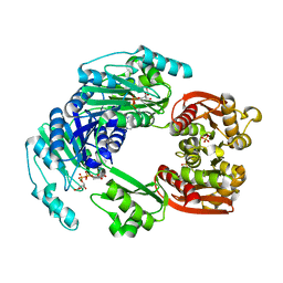 BU of 4uux by Molmil