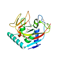 BU of 4uw1 by Molmil