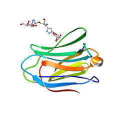 BU of 4uw3 by Molmil