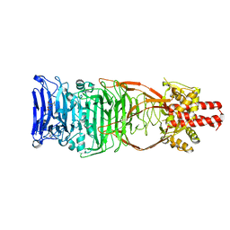 BU of 4uw8 by Molmil