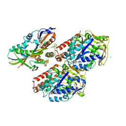 BU of 4uy0 by Molmil