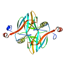 BU of 4v1i by Molmil