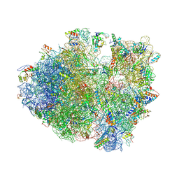 BU of 4v84 by Molmil