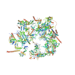 AU of 4w20 by Molmil