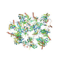 AU of 4w25 by Molmil