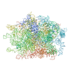 AU of 4w26 by Molmil