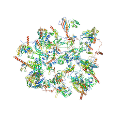 AU of 4w27 by Molmil