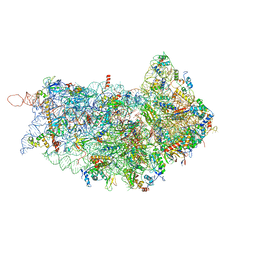 AU of 4w28 by Molmil