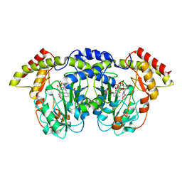 AU of 4wfp by Molmil