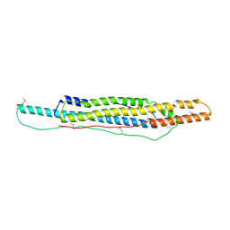 BU of 4wj1 by Molmil