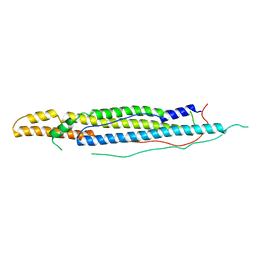 BU of 4wj2 by Molmil