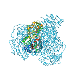 BU of 4wj9 by Molmil