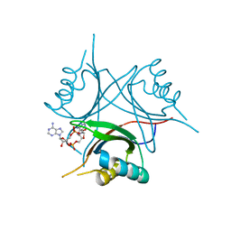 BU of 4wk1 by Molmil