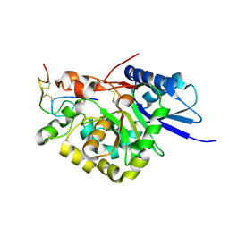 BU of 4wm0 by Molmil