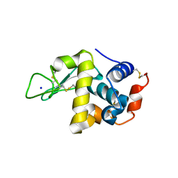 BU of 4wm6 by Molmil