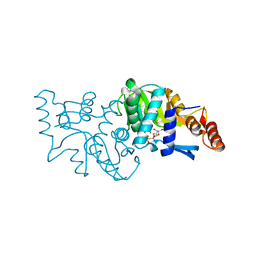 BU of 4wml by Molmil