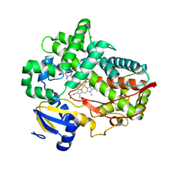 BU of 4wnt by Molmil