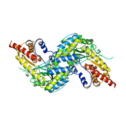 BU of 4wp0 by Molmil