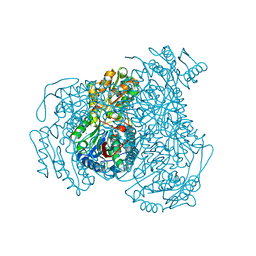 BU of 4wp7 by Molmil