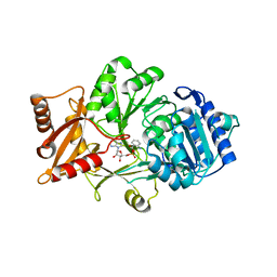 BU of 4wv3 by Molmil