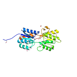 BU of 4wxe by Molmil