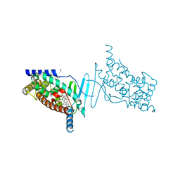 BU of 4x1g by Molmil