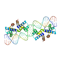 BU of 4x4b by Molmil