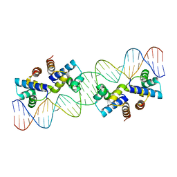 BU of 4x4c by Molmil