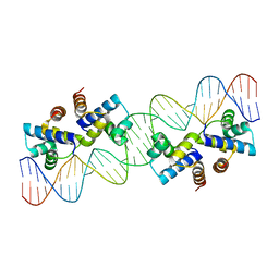 BU of 4x4d by Molmil