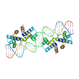 BU of 4x4e by Molmil