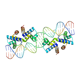 BU of 4x4f by Molmil