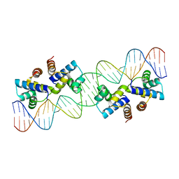 BU of 4x4h by Molmil