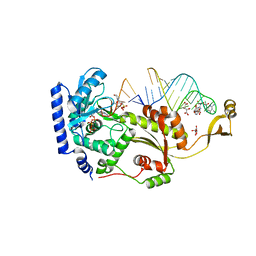 BU of 4x4v by Molmil