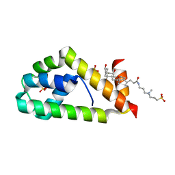 BU of 4x86 by Molmil