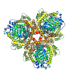 BU of 4x9e by Molmil